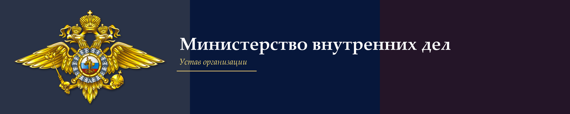mvd_banner_flag_2000x400.png