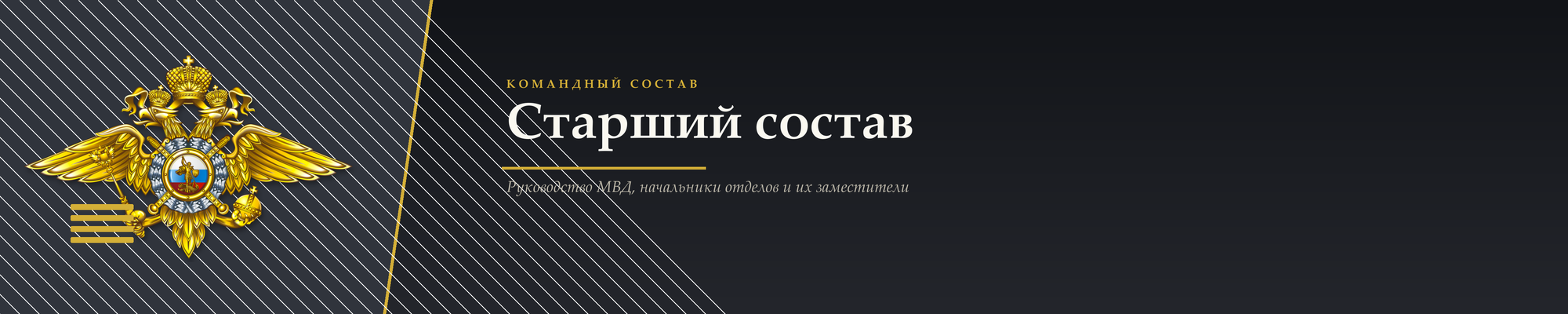 senior_banner_epaulette_2000x400.png